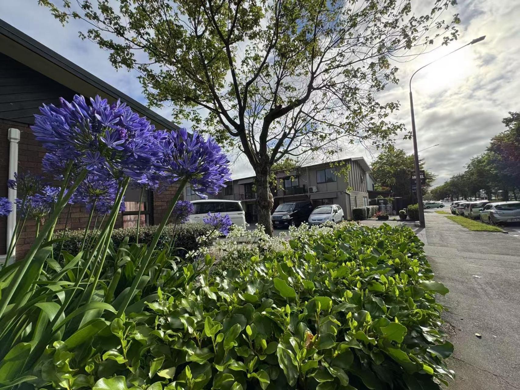Abbey Motor Lodge Christchurch Bagian luar foto